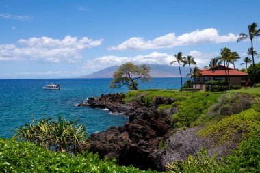Peyzaj sükunet plajı. Hawaii arka planı, tropik Hawaii cenneti.