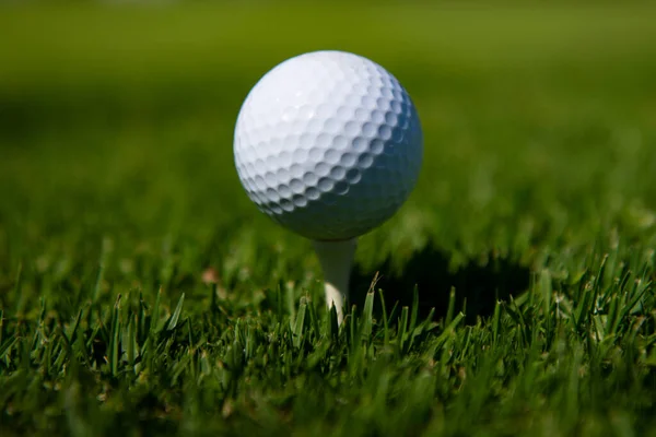 Bola de golfe na relva. Bola de golfe está no tee no fundo de grama verde. — Fotografia de Stock