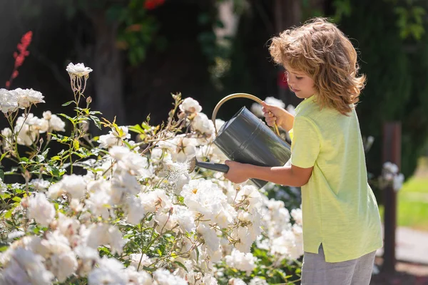 Дитина в квітковому саду. Портрет дитини, що працює в саду . — стокове фото
