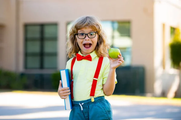 El chico está listo para la escuela. Alumno escolar con mochila al aire libre. —  Fotos de Stock