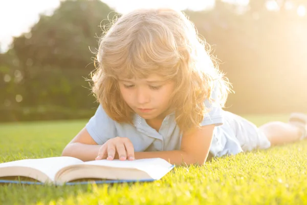 A kölyök könyvet olvas. Gyermekiskola és szabadtéri oktatás. Természet és park. Korai tanulás. Nyári szabadtéri. — Stock Fotó