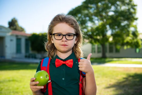 Concepto de niño escolar. Alumno lindo, niño en uniforme escolar con mochila al aire libre. Retrato de colegial nerd. —  Fotos de Stock