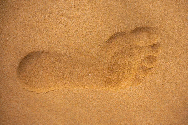 Fermer les marches de pied sur la plage de sable fin. — Photo
