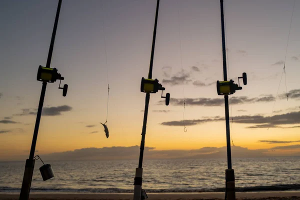 Canne à pêche et bobine sur la mer, vacances sur l'océan bleu et le coucher du soleil d'été. — Photo
