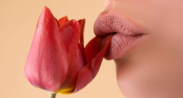 Closeup sensual lips. Woman mouth. Sexy plump lip lipstick. — Stock Photo, Image