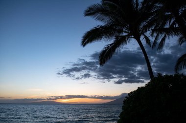 Yaz tatili, tropik bir sahil ve mavi denizin tatil geçmişi. Hawaii plajı.