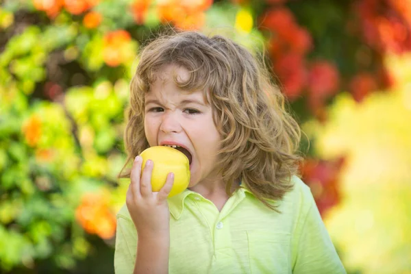 Jovem rapaz do campo está comendo uma maçã em um pomar de maçã ou fazenda. — Fotografia de Stock