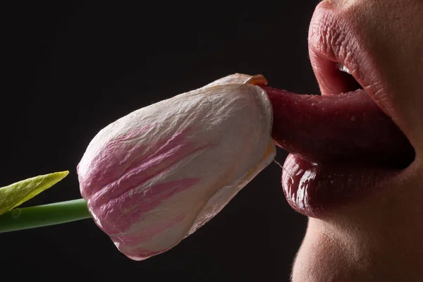 Zuigen likken zoenen concept. Sexy volle lippen. Glans van lippen en vrouwenmond. Sensuele lippen. — Stockfoto