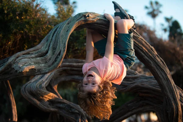 公園で子供の男の子、木のロープに登る. — ストック写真
