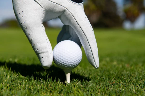 Main mettant la balle de golf sur le tee dans le terrain de golf. Boule de golf en herbe. — Photo