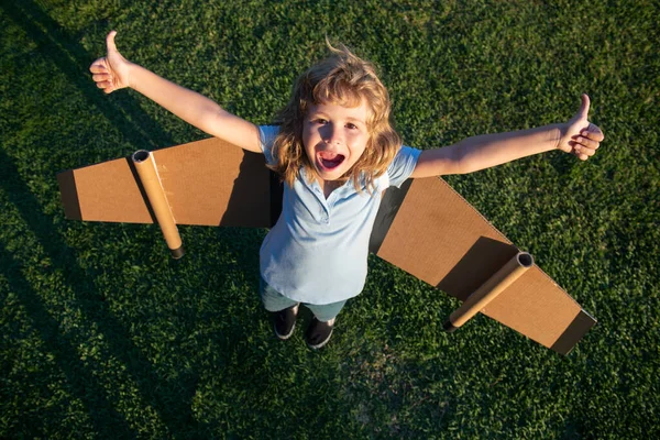 Garçon rêveur excité jouant avec un avion en carton. Enfance. Fantasme, imagination. Garçon rêve de voler. Enfant insouciant jouant à l'extérieur. — Photo