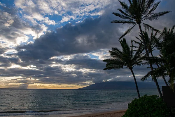 Spiaggia tropicale con sabbia, oceano, foglie di palma, palme e cielo blu. Estate sfondo spiaggia. Palme da cocco. — Foto Stock