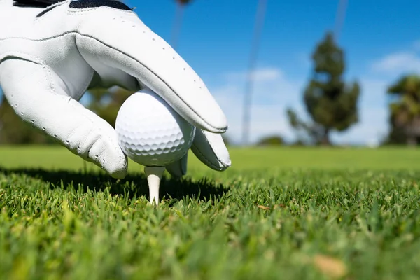 De cerca la mano en guantes de golf poniendo pelota de golf en la camiseta en el campo de golf. Pelota de golf en hierba. —  Fotos de Stock