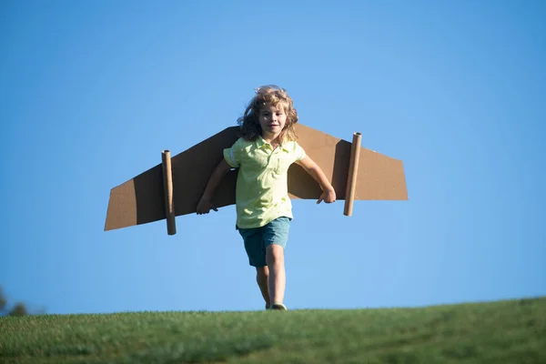 段ボールの翼で遊んでいる子供の男の子。夏の畑の子供。子供たちは旅行や休暇の概念。想像力と自由の概念. — ストック写真