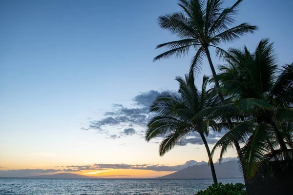 Tropikalna plaża morska z piaskiem, oceanem, liśćmi palmy, palmami i błękitnym niebem. Letnie tło plaży. — Zdjęcie stockowe