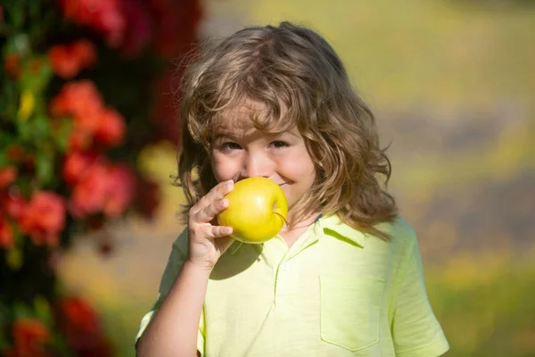 Schattig kind jongen eten een appel buiten. — Stockfoto