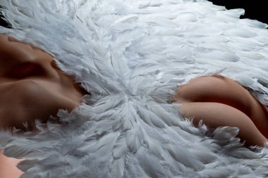 Melek kanatları. Düşmüş Melek. Sevgililer Günü. Romantik Hediyeler ve Sevgililer Günü Hediyeleri. Sevgililer Günü 'nün Gerçek Tarihi.