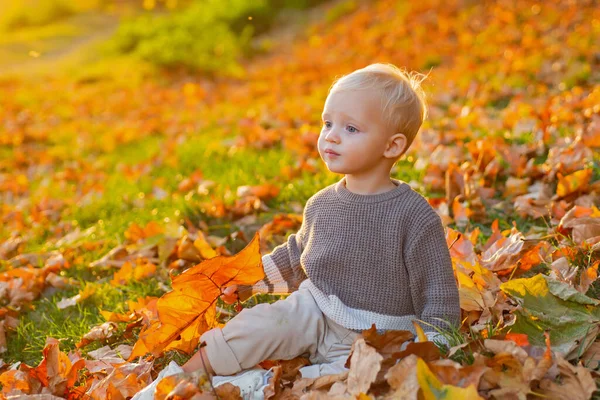 Gyerekdivat. Gyerekkori emlékek. A gyerek ősz hátteret hagy. Az ősz meleg pillanatai. A kisgyerek kék szemei élvezik az őszt. Kis elegáns csecsemő napsütéses őszi napon. Boldog gyermekkort! — Stock Fotó