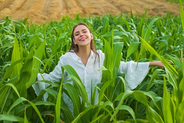 Jeune fille heureuse montrant le maïs récolté dans le champ. Femme américaine en robe blanche récolte du maïs. Jeune agricultrice à la récolte de maïs. — Photo