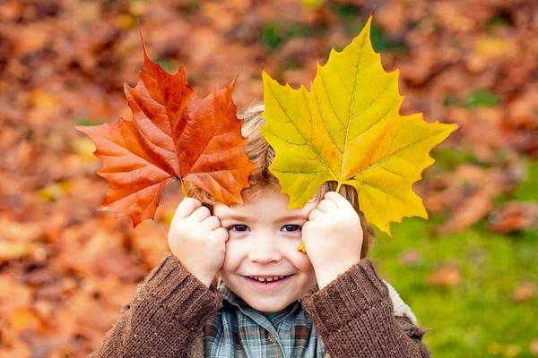 幼童美丽的户外秋季肖像. — 图库照片