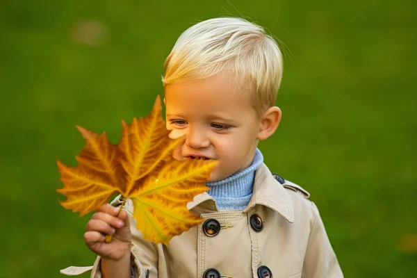 自然の中で秋の葉を保持するかわいい子供。秋の公園を歩く子供の男の子、紅葉. — ストック写真