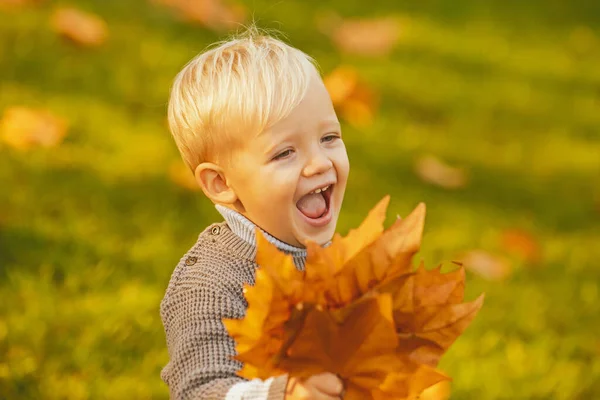 Возбужденный ребенок играет с листьями в осеннем парке. Улыбающийся блондин держит осенние листья на природе. Улыбнись счастливым детям. Концепция счастливого детства. — стоковое фото