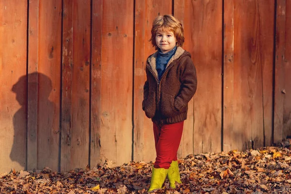 Niño feliz divirtiéndose en el parque de otoño en un día cálido sobre fondo de madera. — Foto de Stock