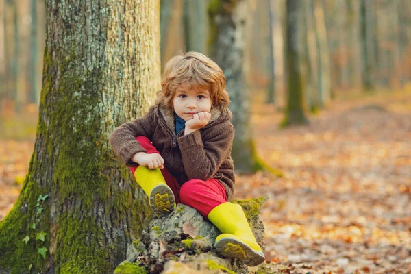 Söt unge som sitter på fallna löv. Barngång höst park. — Stockfoto