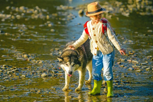 Παιδιά και σκυλιά εξερευνούν. Χαριτωμένα παιδιά με το σκύλο να περπατάει στο ποτάμι μια ηλιόλουστη καλοκαιρινή μέρα. Παιδιά τουρίστες και το σκυλί στην όμορφη φύση. — Φωτογραφία Αρχείου