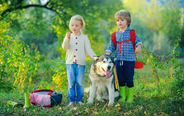 Niño y niña en un campo verde con su mascota husky o malamute. Verano en el campo. Ocio de verano. — Foto de Stock