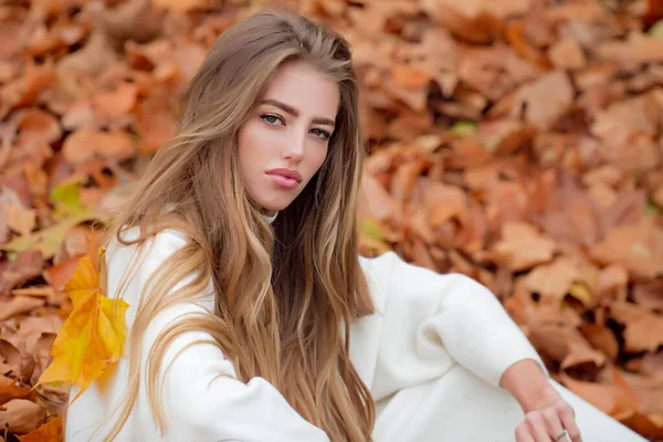 Outono, menina bonita em bordo, folhas amarelas. — Fotografia de Stock