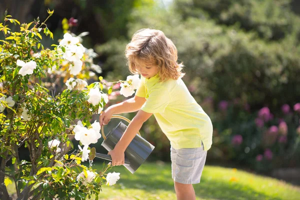Cute toddler boy watering plants in the garden at summer sunny day. — Stock Photo, Image