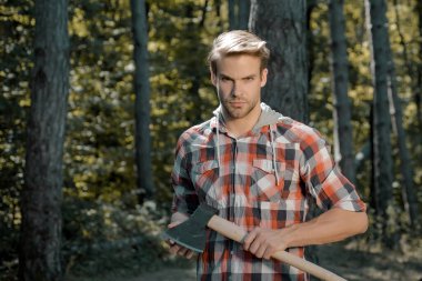 Odun yenilenebilir enerji kaynağı olarak kullanılıyor. Yakışıklı marangoz oduncu ekose gömlek yeşil doğa arka planında baltayı tutuyor. Ormanda baltayla duran oduncu işçi..