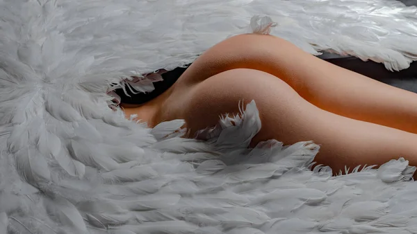 Sexy angel woman with feather white wings. Valentines Day concept. Sexy ass female. Erotic buttocks. — Φωτογραφία Αρχείου