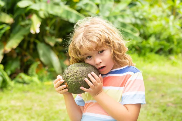 Pequeño niño dulce sosteniendo aguacate verde. Concepto de comida saludable para niños. —  Fotos de Stock