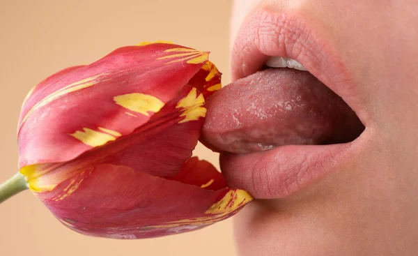 Labbra femminili con rossetto naturale. Sensuale bocca delle donne. Labbro con lucidalabbra. Labbra seducenti di una giovane donna. — Foto Stock