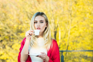 Sonbahar kahvesi. Sonbahar, sonbahar yaprakları, bir fincan kahveli kadın. Mevsimlik, sabah kahvesi. Rahatlatıcı ve durgun yaşam konsepti.