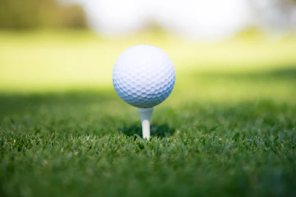 Pelota de golf en la camiseta lista para ser disparada. —  Fotos de Stock