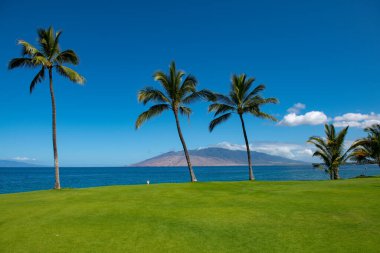 Tayland 'daki Idyllic Sahili. Tropikal mavi deniz ve kumsal arka planı.
