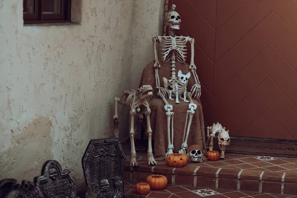 День мертвых, Хэллоуин или Диа. Хэллоуин. Украшение Хэллоуина скелетами, призраками и тыквами. — стоковое фото
