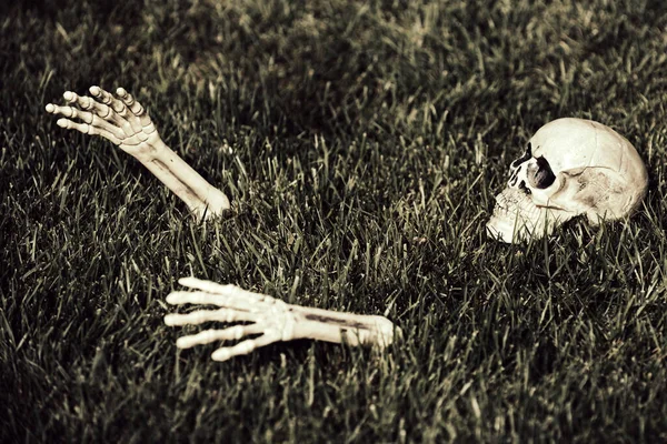 Halloween Skeleton pro Halloween banner, mlhavé pozadí s kopírovacím prostorem. — Stock fotografie