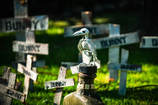 Helloween huisdecoratie. Halloween begraafplaats met raaf skelet. Banner design met kopieerruimte. — Stockfoto