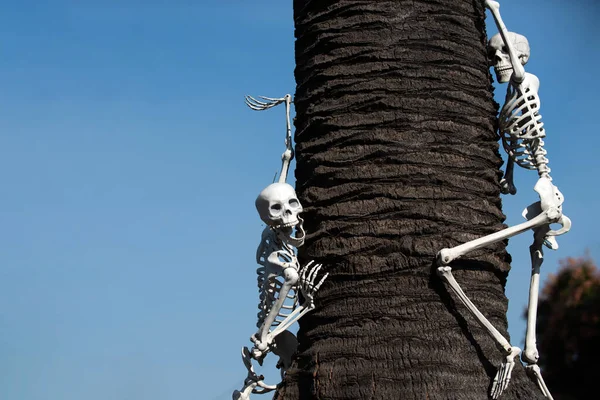 Tema di Halloween. Modello con scheletro per banner di Halloween. — Foto Stock