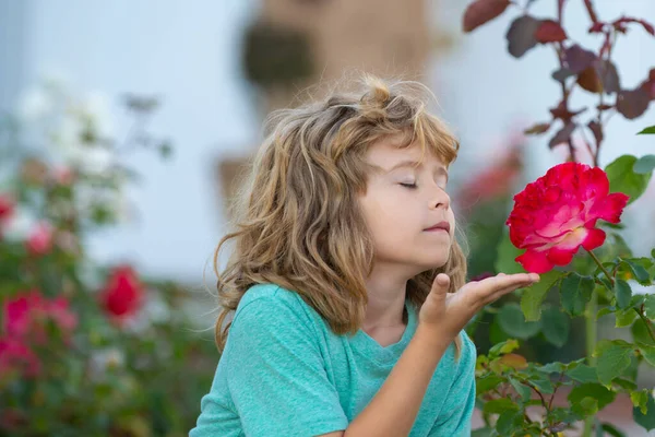 Virágillatú gyerek. Viccesek a gyerekek. Aranyos gyerek élvezni a természetes környezet révén szabadtéri tevékenység, mint a játék, érintés és illat rózsa. — Stock Fotó