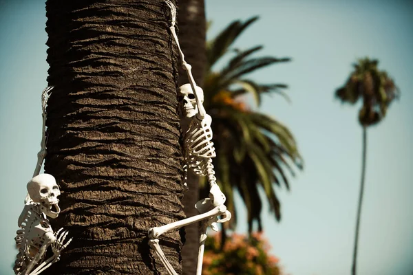 Esqueleto de Halloween perto da decoração da casa. Cenário de Halloween. Férias terríveis em casa. Halloween nos EUA. Tradições e decoração da casa. — Fotografia de Stock