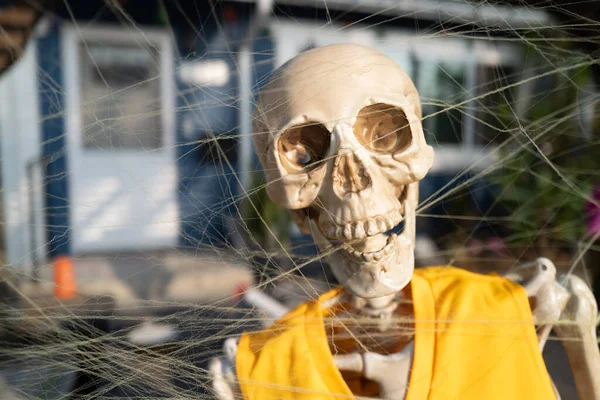 Buon Halloween Skeleton. Ritratto di Skeleton outdoor. — Foto Stock