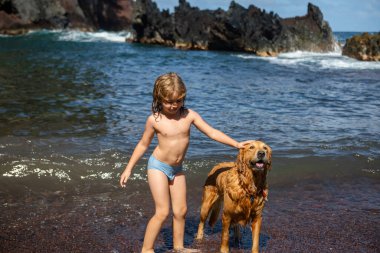Deniz suyunda köpekle oynayan bir çocuk..