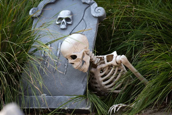 Fundo do cemitério de Halloween. Esqueleto de Halloween feliz no cemitério. — Fotografia de Stock