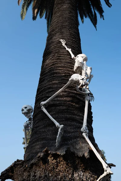 Buon Halloween Skeleton. Paesaggio di Halloween. Terribile vacanza a casa. Halloween negli Stati Uniti. Tradizioni e arredamento della casa. — Foto Stock