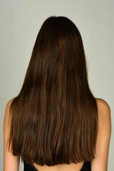 Egészség hosszú haj koncepció. Hajápolás. Női haj vissza. — Stock Fotó